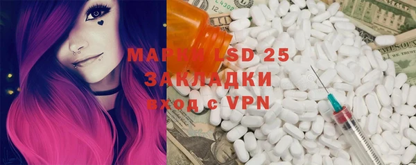 прущие грибы Балабаново