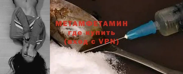прущие грибы Балабаново