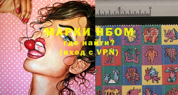прущие грибы Балабаново