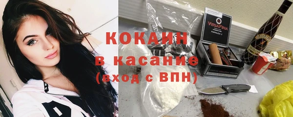 прущие грибы Балабаново