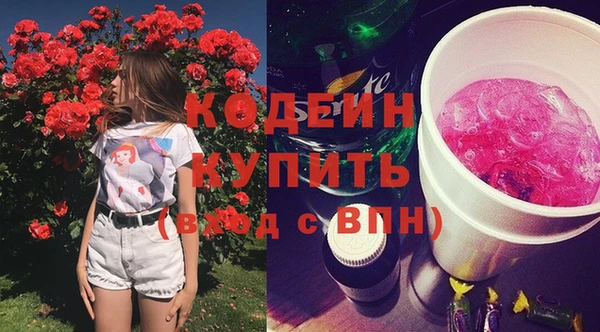 прущие грибы Балабаново