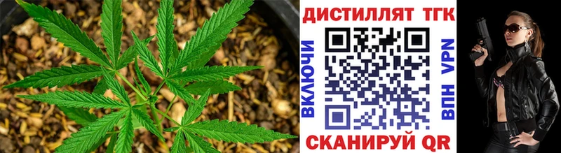 omg зеркало  как найти   Корсаков  ТГК гашишное масло 