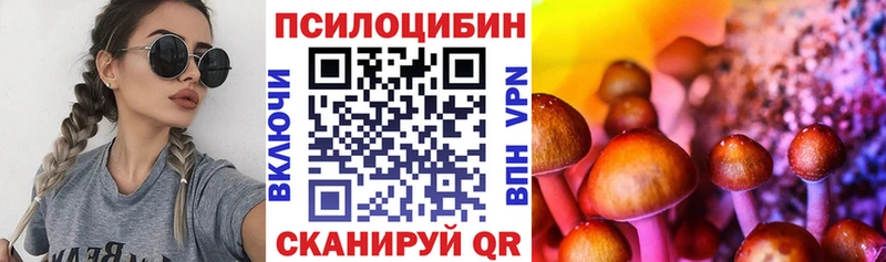 Псилоцибиновые грибы мицелий  KRAKEN ссылки  Корсаков 